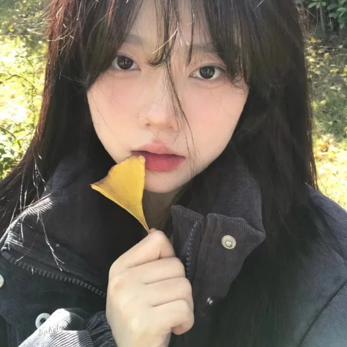 灿烂的风和海